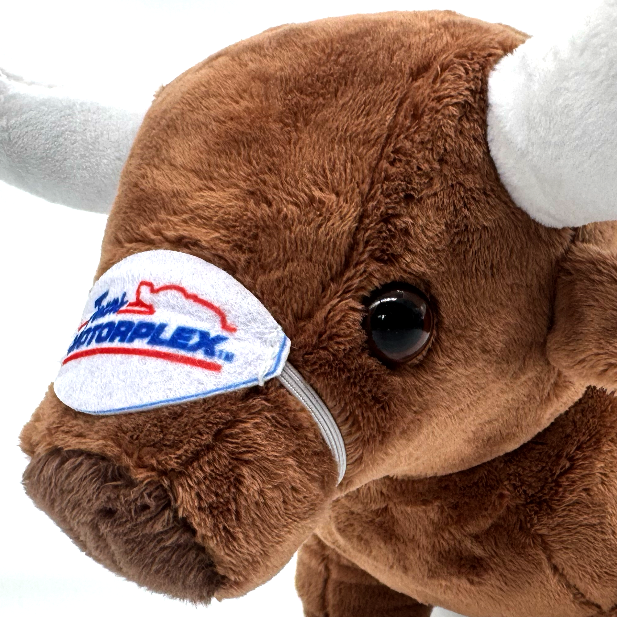 Oliver The Watusi Plush Toy